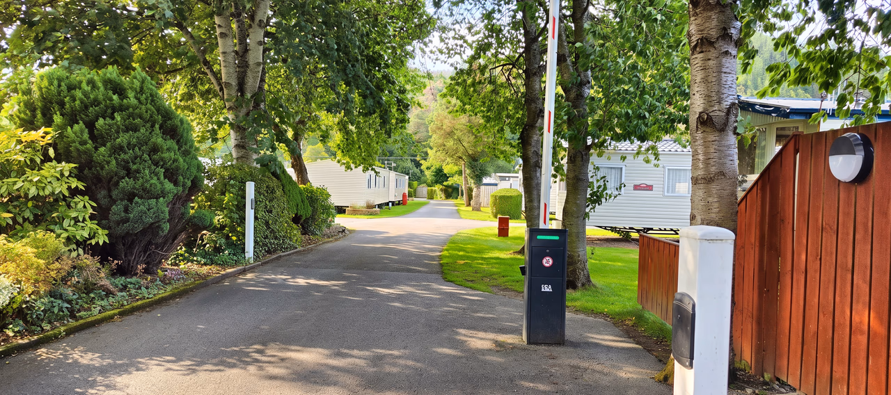 The tree-lined entrance road into Tweedside Caravan Park, with dappled sunlight across the tarmac