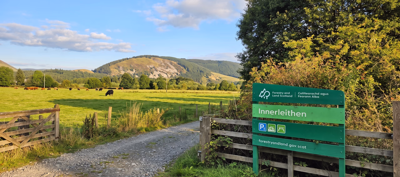 The Forestry and Land Scotland sign at the Innerleithen forest trails, beside a gravel track with cattle grazing in the field beyond