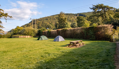 Two dome tents pitched on the camping field, with a picnic bench and a wooded hillside behind