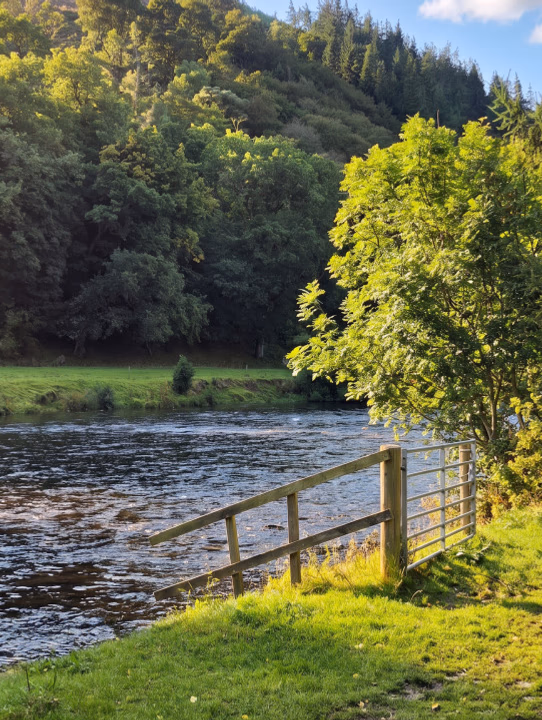The River Tweed running past a grass bank and a post and wire fence, with wooded hills beyond