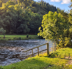 The River Tweed running past a grass bank and a post and wire fence, with wooded hills beyond